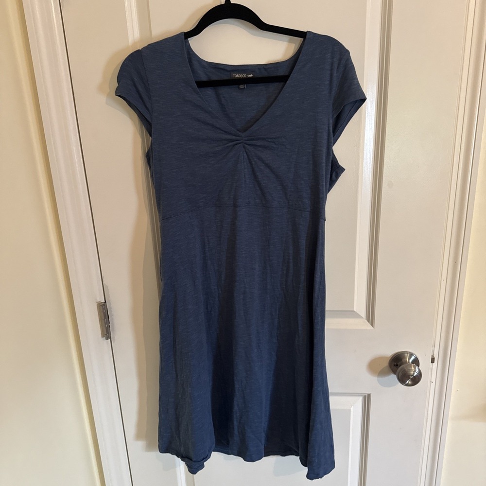 Toad & Co Womens Size L Rosemarie Dress Sage Blue Geometric Print